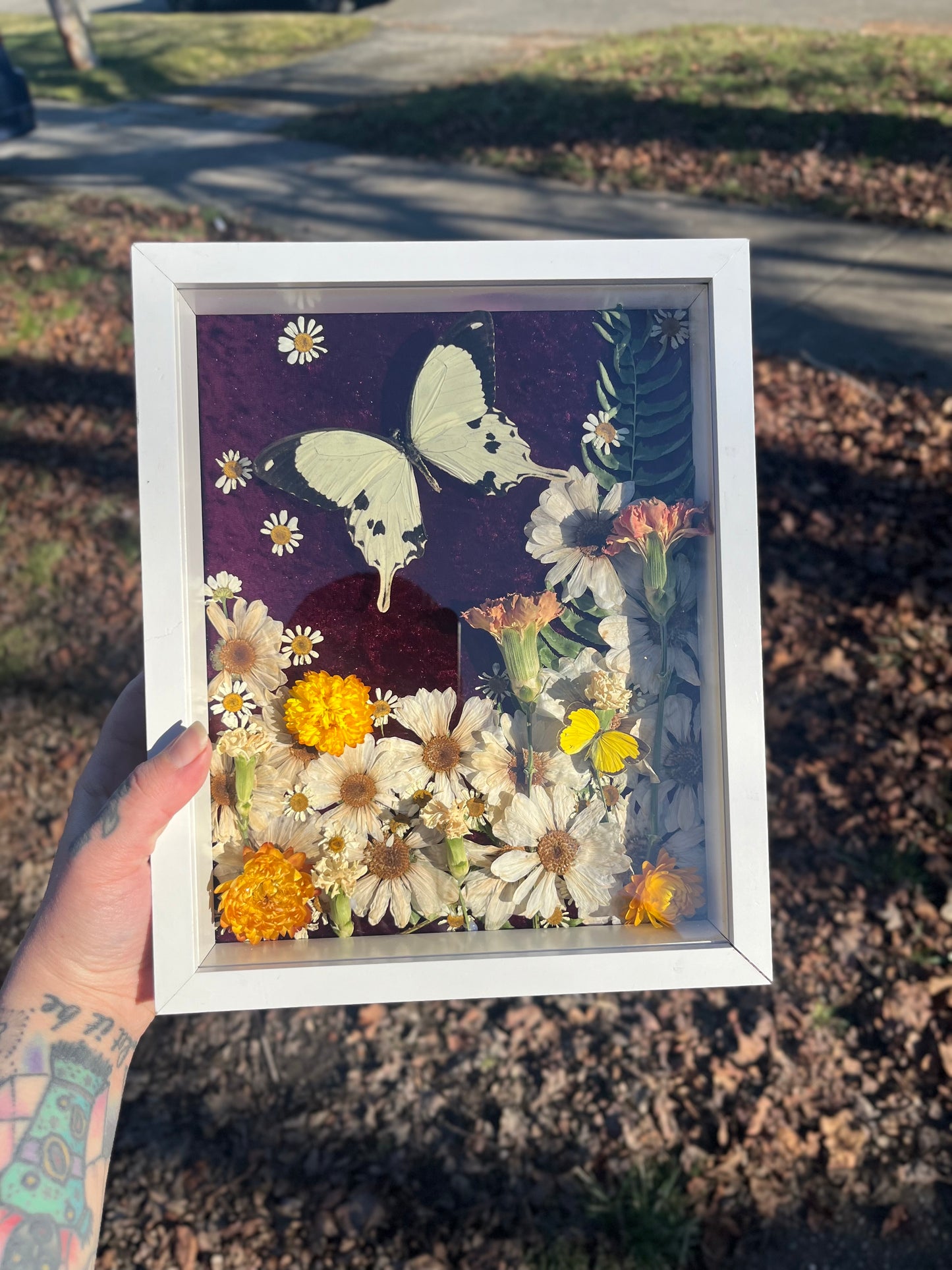 "Ophelia" Butterfly Shadowbox Frame