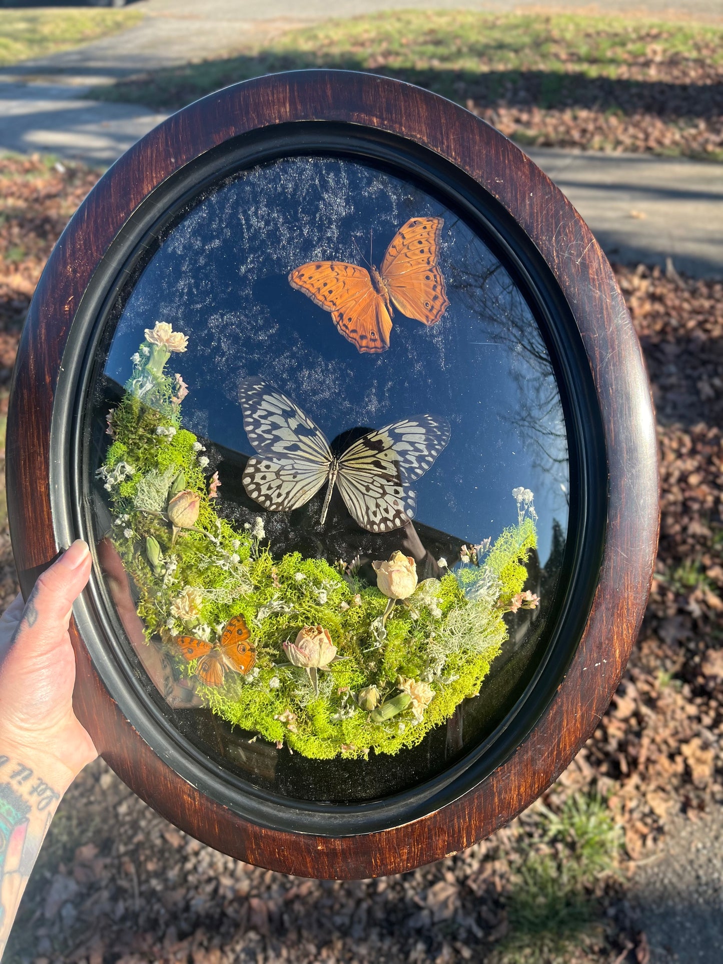 "Ferngully" Butterflies in Bubble Glass