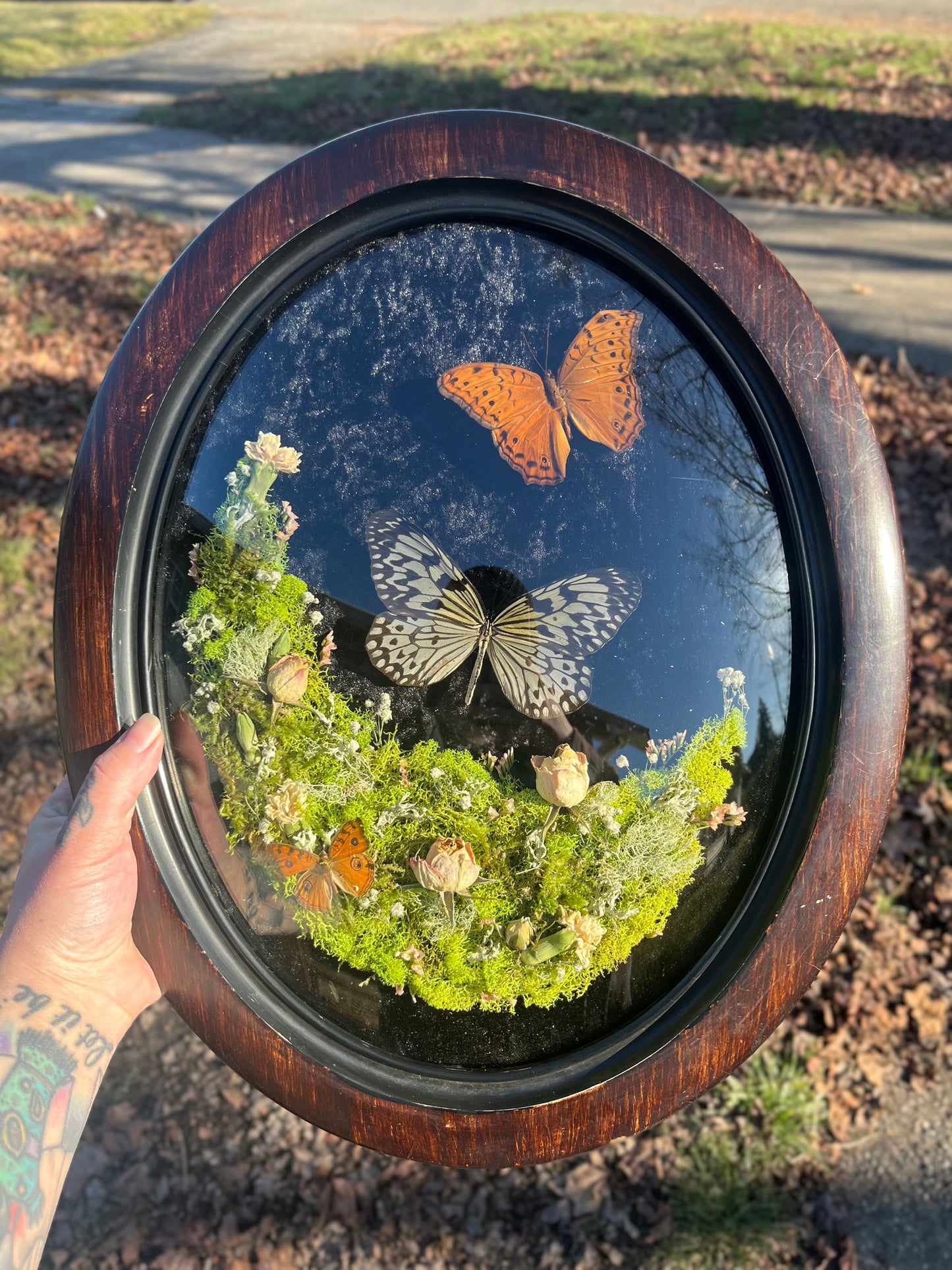 "Ferngully" Butterflies in Bubble Glass