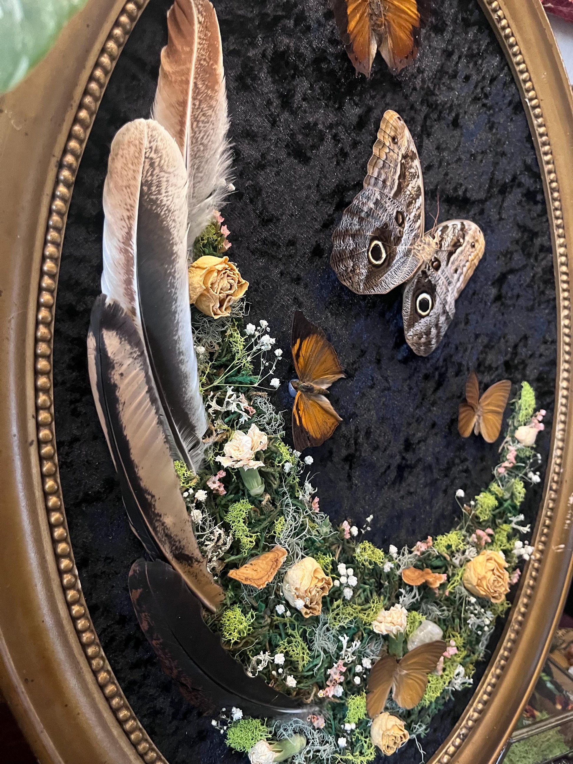 Real Owl Butterfly Taxidermy in Vintage Ornate Frame Crystals Feathers w/ Pressed Flowers in Bubble Glass Dark Academia Witchy Gothic Gift