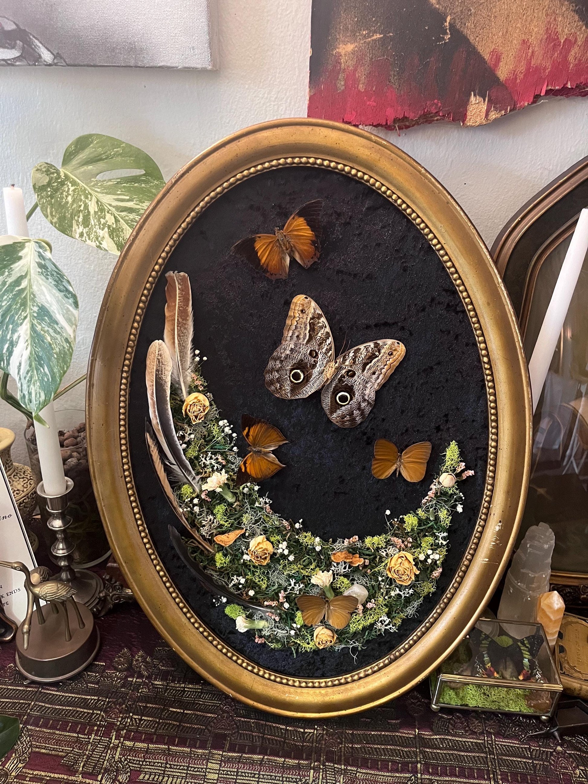 Real Owl Butterfly Taxidermy in Vintage Ornate Frame Crystals Feathers w/ Pressed Flowers in Bubble Glass Dark Academia Witchy Gothic Gift