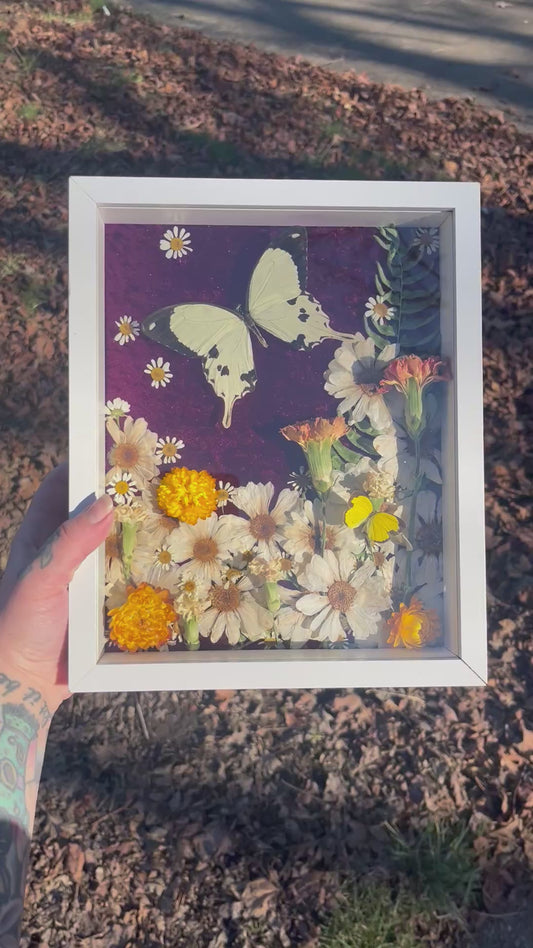 "Ophelia" Butterfly Shadowbox Frame